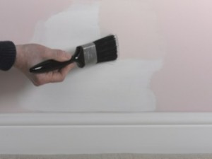 painting over damp