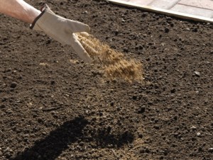 spreading granular pre-turf fertiliser