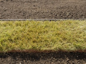 Laying turf with long edges against boundary line