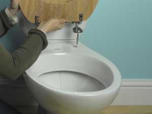 Toilet seat fixing bolts