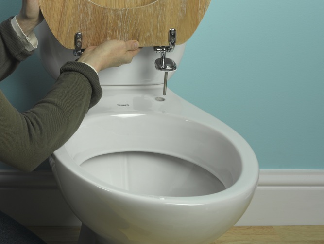 Julian Cassell's DIY Blog » Blog Archive Changing a toilet seat HOW