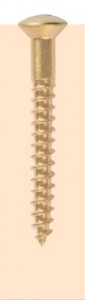 Raised head screw