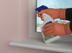 mould killer spray