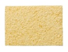 Sponge