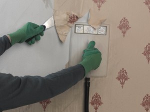 using wallpaper steamer