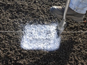 dig holes for fence posts