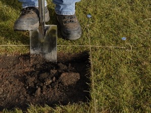 cutting out grass