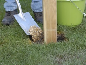 planting pergola uprights