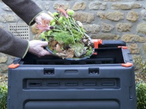 Composting vegetable peelings