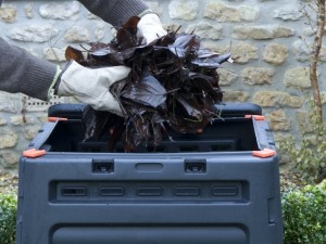 Composting leaves
