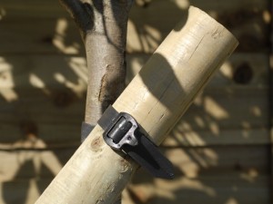 Using tree tie