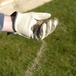 Lawn care and maintenance 1