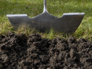 trimming grass edges with half-moon edger