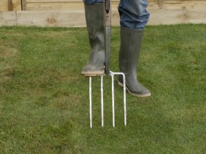 spiking lawn with fork