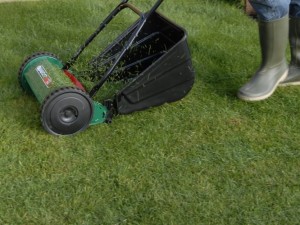 cutting grass with mower