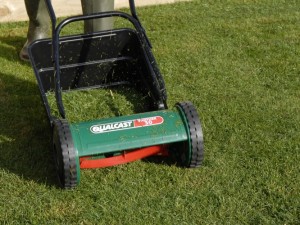 cutting lawn at right angles to first cut