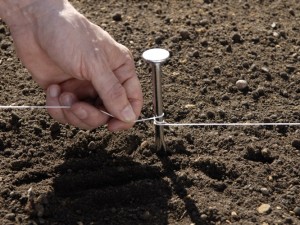 marking boundaries of lawn