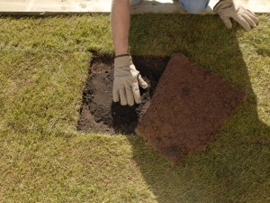 Infilling topsoil under turf