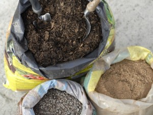 Preparing soil for onions