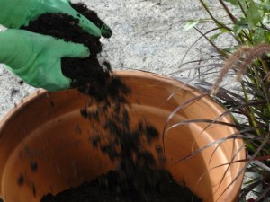 Filling pot with compost