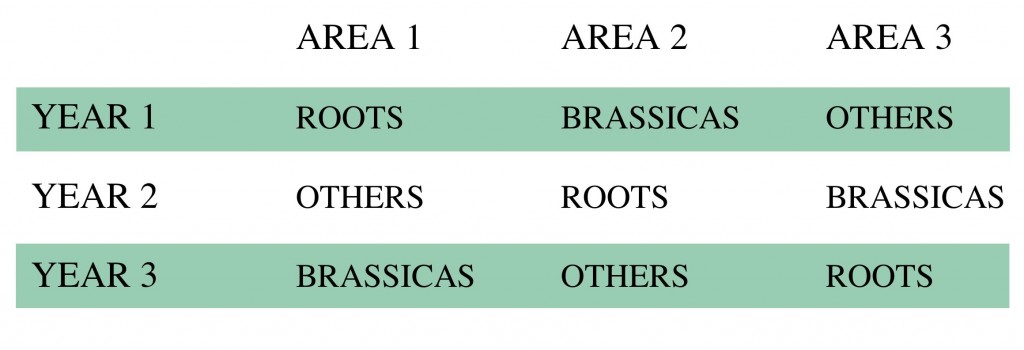 Crop Rotation