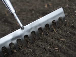 Digging in well-rotted manure