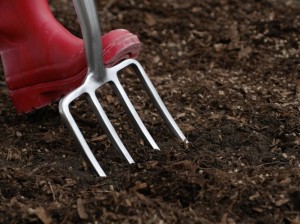 Preparing soil for growing peas