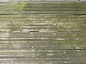 Decking with algae