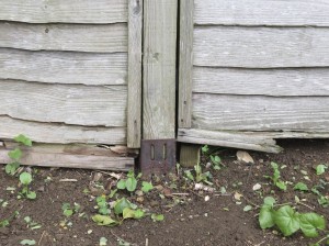 Fence panels with no gravel boards