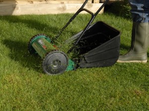 hand powered lawnmower